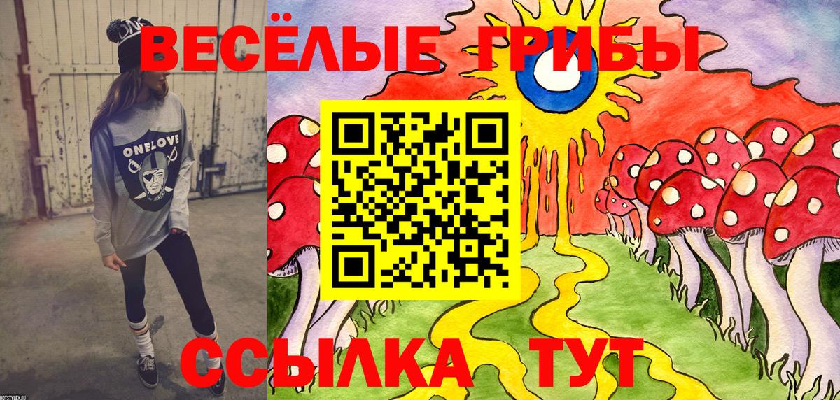 Псилоцибиновые грибы Magic Shrooms Сочи